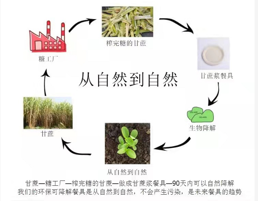 環保紙漿餐具多長時間可以完全降解？